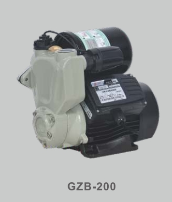 سلسلة مضخات الدورة الدموية